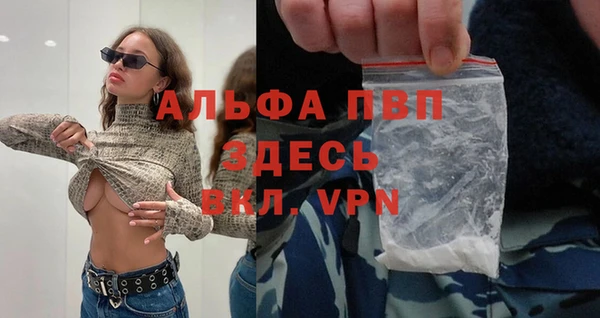 хмурый Бородино