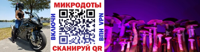 Галлюциногенные грибы Psilocybe Вихоревка